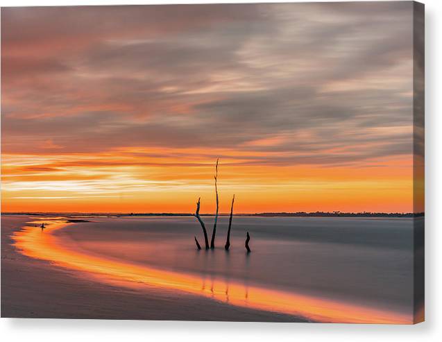 Something in the Orange - Canvas Print