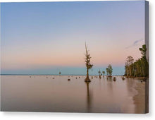 Load image into Gallery viewer, Stand Tall - Canvas Print