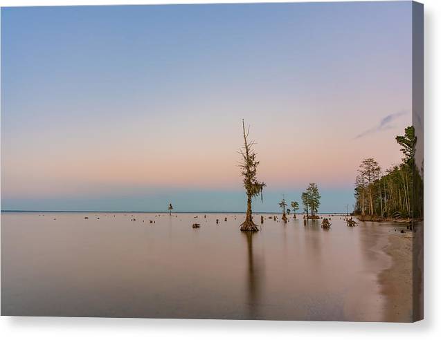 Stand Tall - Canvas Print