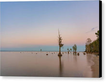Load image into Gallery viewer, Stand Tall - Canvas Print