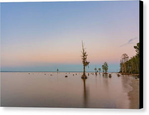 Stand Tall - Canvas Print