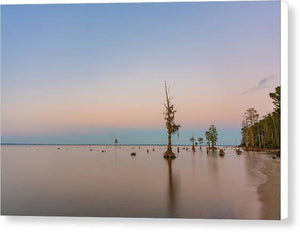 Stand Tall - Canvas Print
