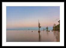 Load image into Gallery viewer, Stand Tall - Framed Print