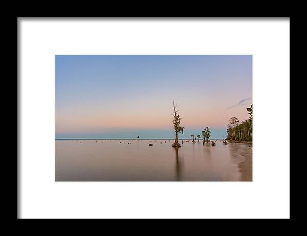 Stand Tall - Framed Print