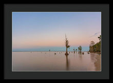 Load image into Gallery viewer, Stand Tall - Framed Print