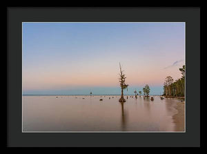 Stand Tall - Framed Print