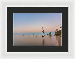 Stand Tall - Framed Print
