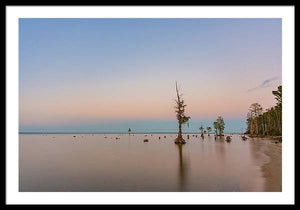 Stand Tall - Framed Print