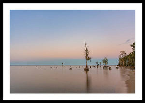 Stand Tall - Framed Print