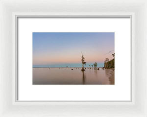 Stand Tall - Framed Print