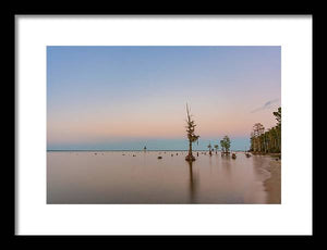 Stand Tall - Framed Print