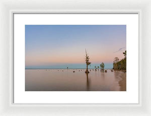Stand Tall - Framed Print