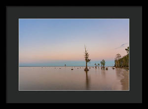Stand Tall - Framed Print