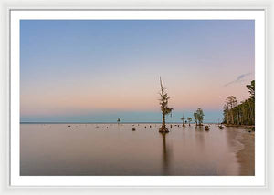 Stand Tall - Framed Print