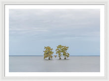 Load image into Gallery viewer, Stay Calm - Framed Print