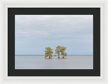 Load image into Gallery viewer, Stay Calm - Framed Print