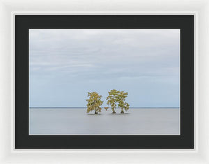 Stay Calm - Framed Print