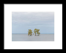 Load image into Gallery viewer, High quality Frames