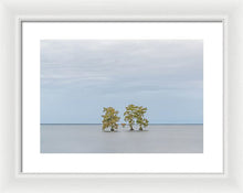 Load image into Gallery viewer, Stay Calm - Framed Print
