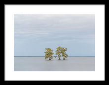 Load image into Gallery viewer, Stay Calm - Framed Print