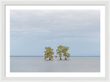 Load image into Gallery viewer, Stay Calm - Framed Print