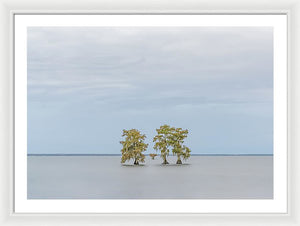 Stay Calm - Framed Print