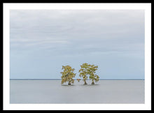 Load image into Gallery viewer, Stay Calm - Framed Print
