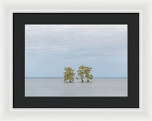 Load image into Gallery viewer, Stay Calm - Framed Print