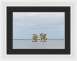 Stay Calm - Framed Print