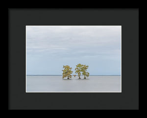 Stay Calm - Framed Print