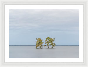 Stay Calm - Framed Print