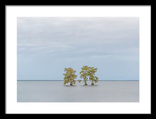 Load image into Gallery viewer, Stay Calm - Framed Print
