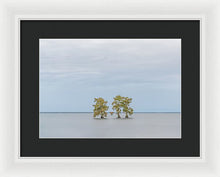 Load image into Gallery viewer, Stay Calm - Framed Print