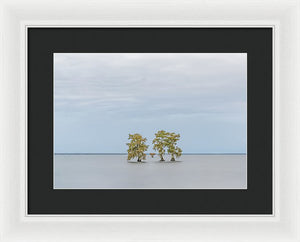 Stay Calm - Framed Print