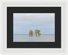 Load image into Gallery viewer, Stay Calm - Framed Print