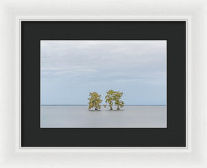 Stay Calm - Framed Print