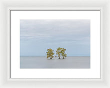 Load image into Gallery viewer, Stay Calm - Framed Print