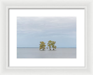 Stay Calm - Framed Print