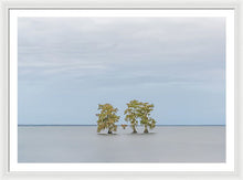 Load image into Gallery viewer, Stay Calm - Framed Print