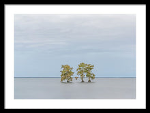 Load image into Gallery viewer, Stay Calm - Framed Print