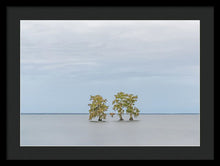 Load image into Gallery viewer, Stay Calm - Framed Print