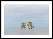 Load image into Gallery viewer, Stay Calm - Framed Print