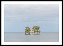 Load image into Gallery viewer, Stay Calm - Framed Print