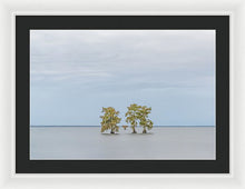Load image into Gallery viewer, Stay Calm - Framed Print
