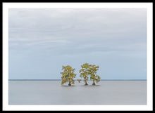 Load image into Gallery viewer, Stay Calm - Framed Print