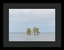 Load image into Gallery viewer, Stay Calm - Framed Print
