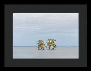 Stay Calm - Framed Print