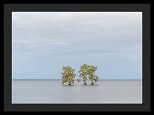 Load image into Gallery viewer, Stay Calm - Framed Print