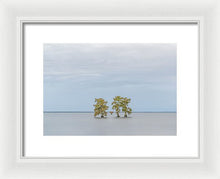 Load image into Gallery viewer, Stay Calm - Framed Print