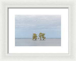 Stay Calm - Framed Print
